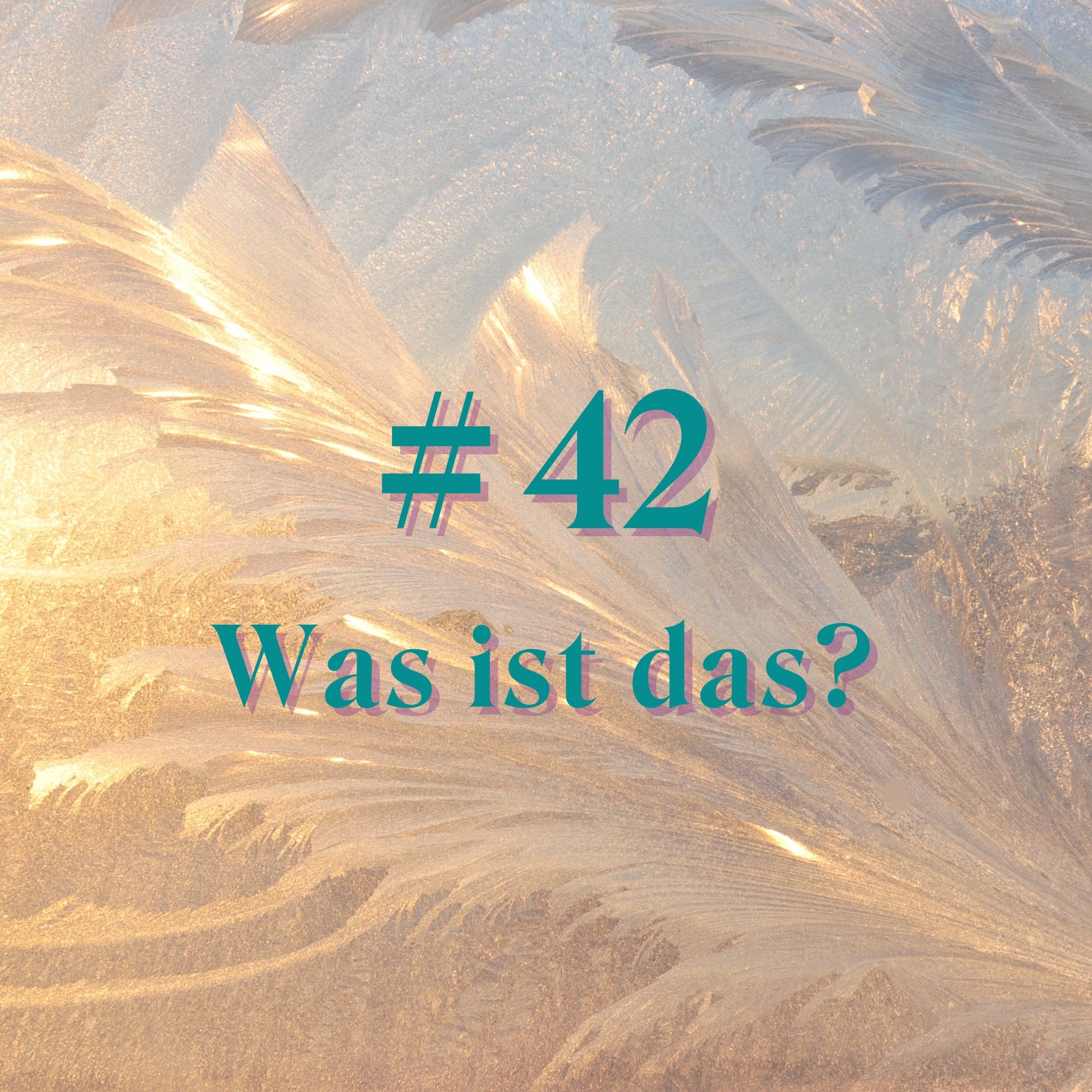 Sprachquiz: Prohibition, Ollie &amp; Heidesand - Was ist das?