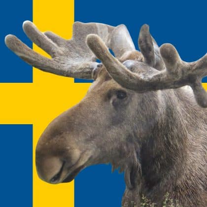 Schweden-Quiz: Erkenne diese 20 schwedischen Personen!