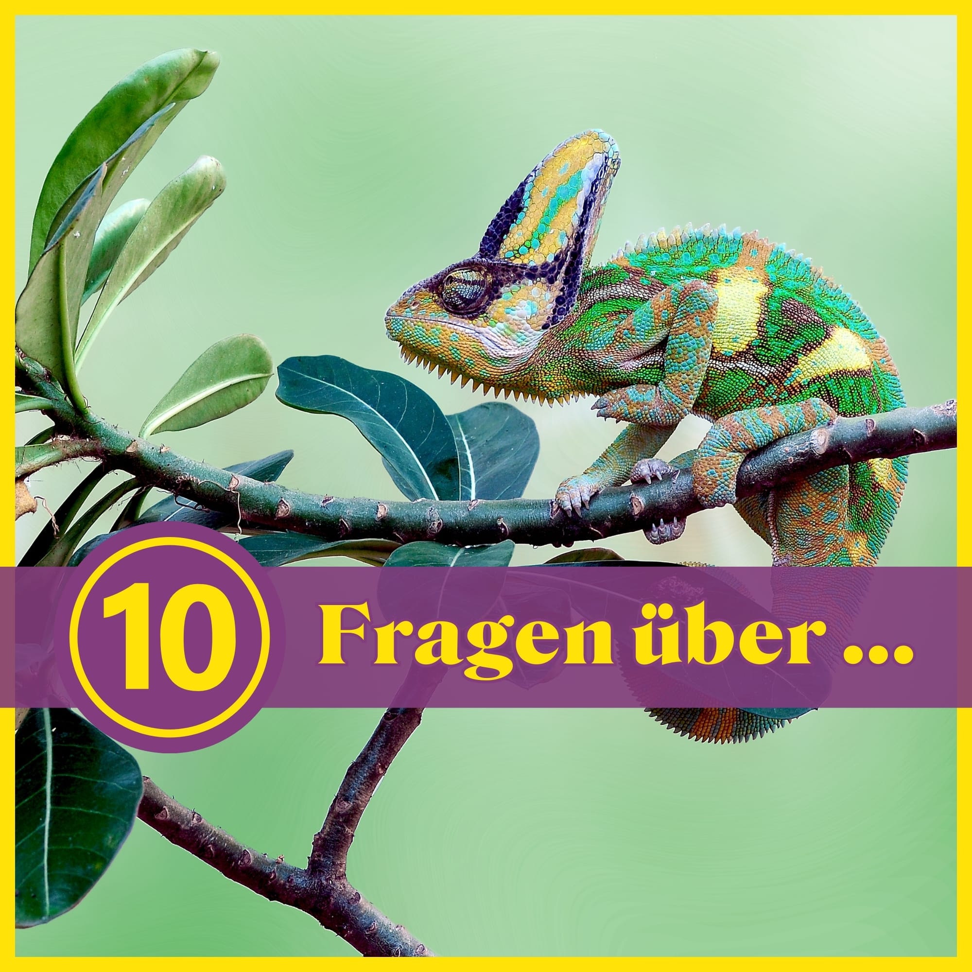 10 Fragen über Reptilien: Was Weißt Du über Die Kriechtiere?