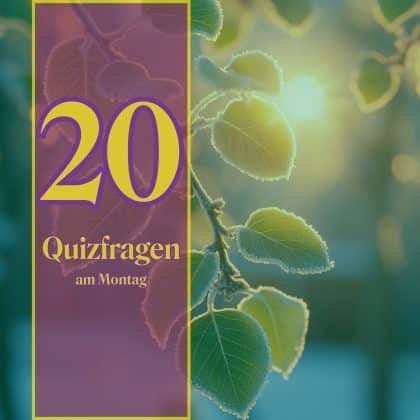 20 Quizfragen am Montag: Steigere so deine geistige Fitness!