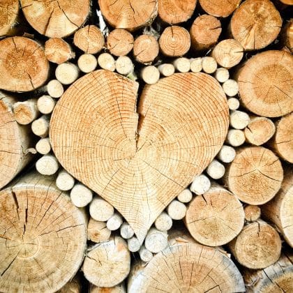 Quiz zum klimafreundlichen Bauen: Wie gut kennst du Holz?