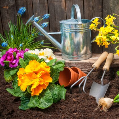 Gartenpflege: Beweise dein Wissen bei 11 Quizfragen!