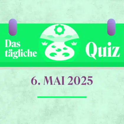 Quiz des Tages vom 6. Mai 2025: Entdecke dein Denkvermögen!