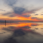 Wattenmeer Quiz: Teste dein Nordsee-Wissen jetzt!
