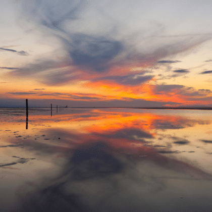 Wattenmeer Quiz: Teste dein Nordsee-Wissen jetzt!