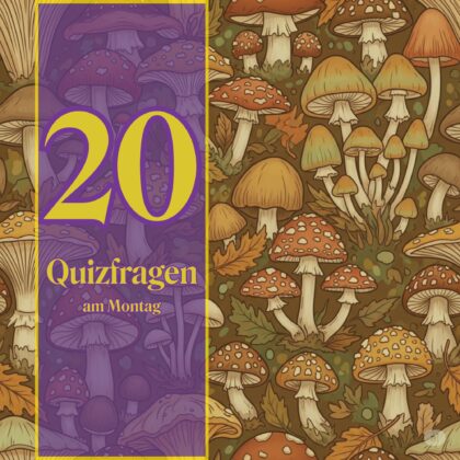 20 Quizfragen am Montag, die dir auf die Sprünge helfen