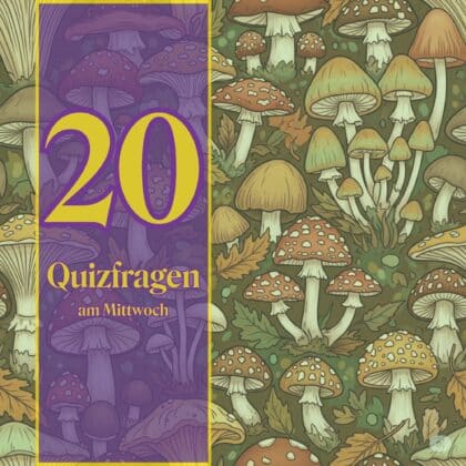20 Quizfragen am Mittwoch, die dich klüger machen