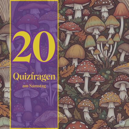 20 Quizfragen am Samstag, die dich schlauer machen