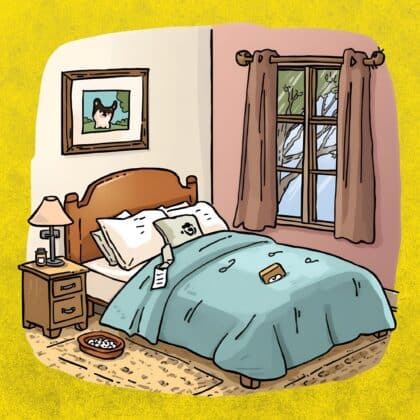 Bett Quiz: Schnarchst du noch oder glänzt du schon?