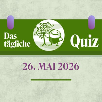 Quiz des Tages vom 26. Mai 2026, weil Geistestraining gut tut