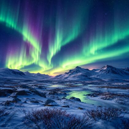 Eiskalt erwischt? Überlebst du das Tundra-Quiz?