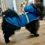 Profile picture of Annegret