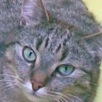 Profile picture of Phoebs73